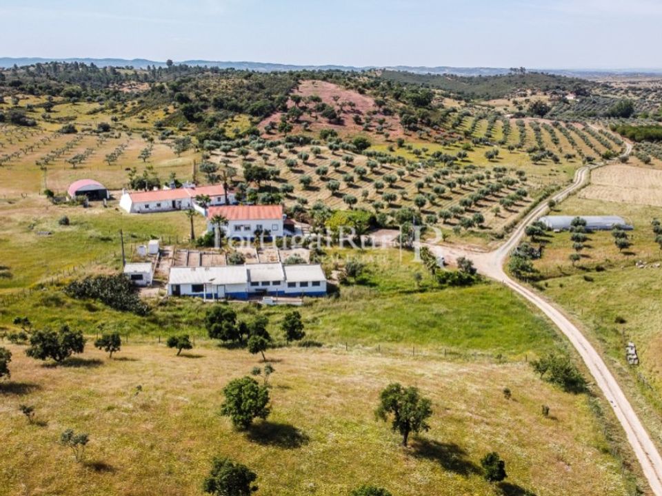 Masia a Evora, Evora - foto 3
