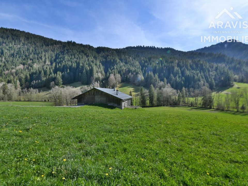 Helårsgrund i Le Grand-Bornand, Haute-Savoie - foto 2