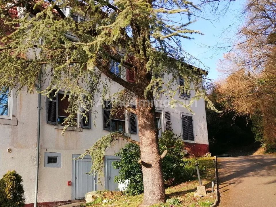 Lejlighed i Abbévillers, Doubs - foto 5