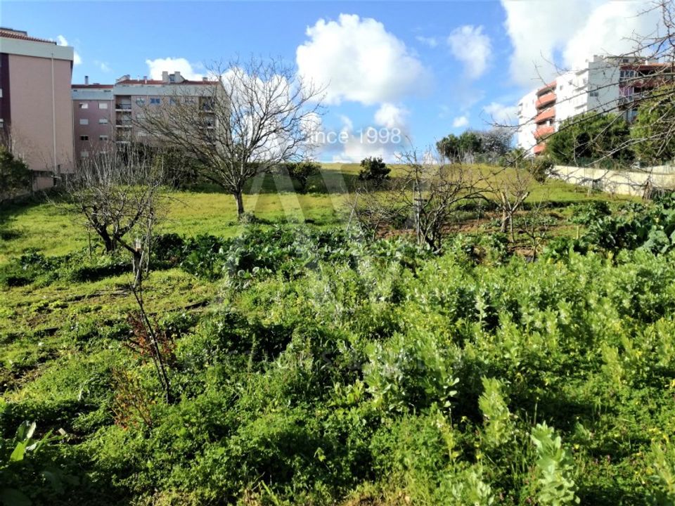 Helårsgrund i Leiria, Leiria - foto 2
