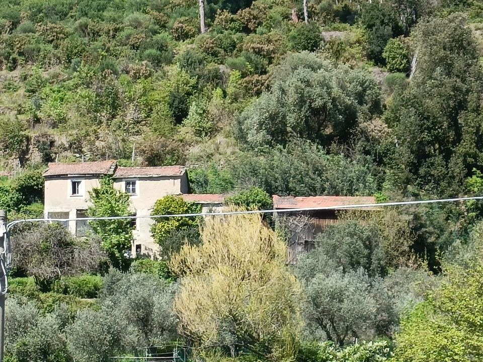 Villa i Varazze, Savona - foto 1
