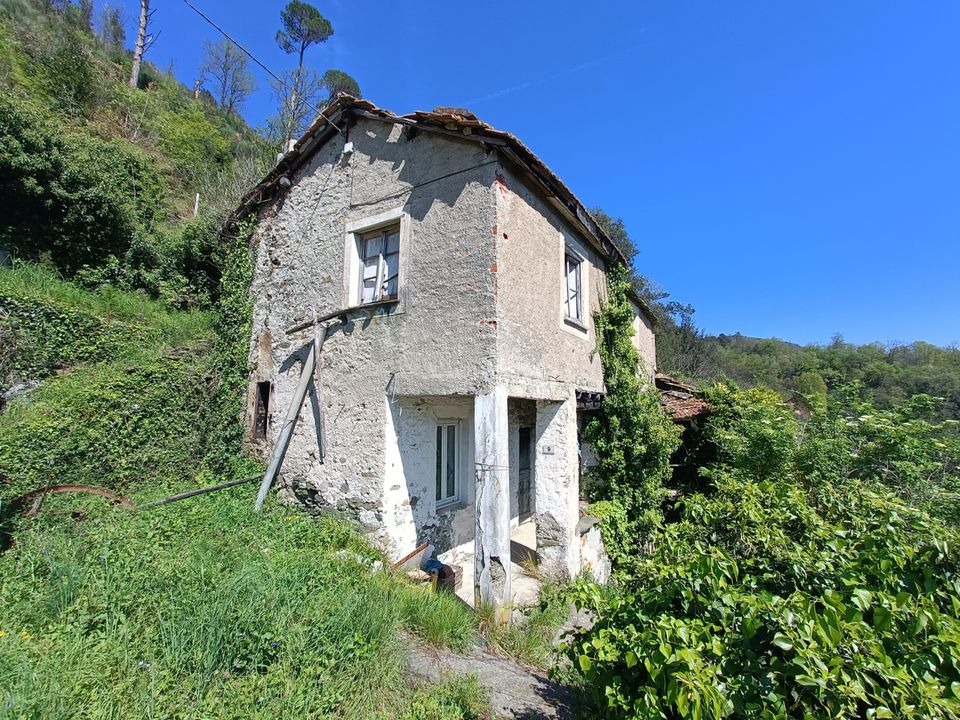 Villa i Varazze, Savona - foto 2