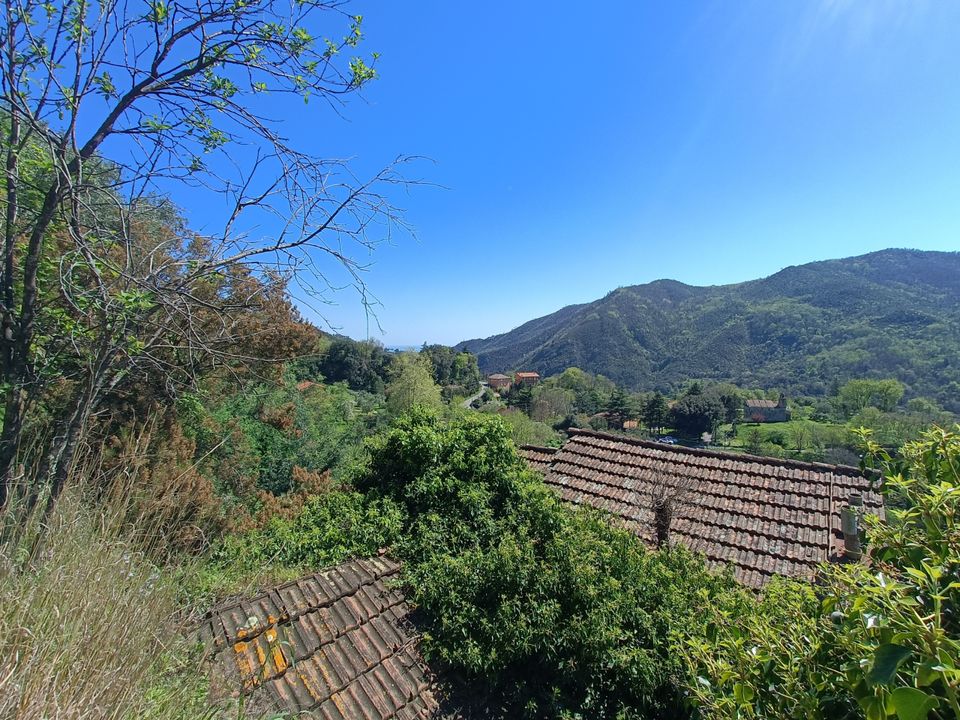 Villa i Varazze, Savona - foto 3