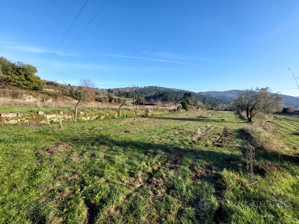 Farm i Tarouca, Viseu - foto 2