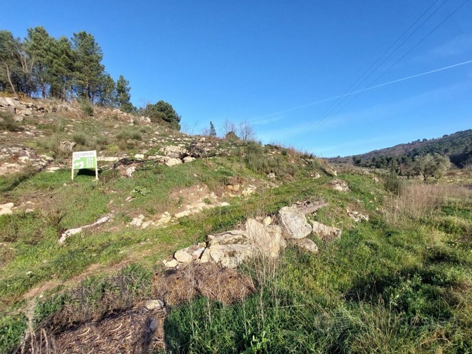 Farm i Tarouca, Viseu - foto 3