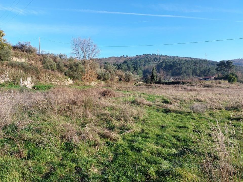 Farm i Tarouca, Viseu - foto 4