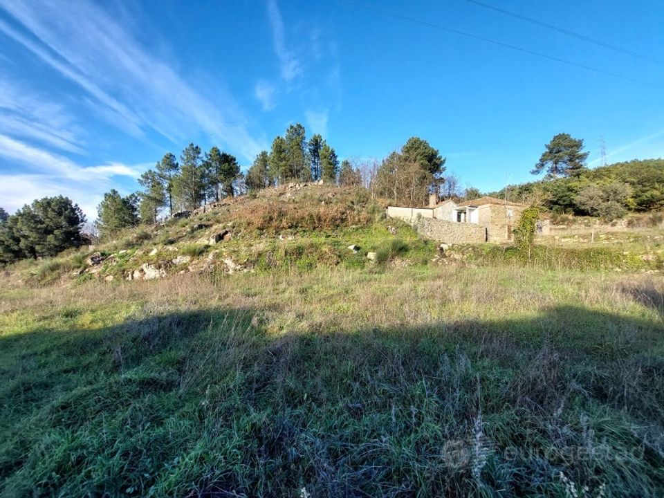 Farm i Tarouca, Viseu - foto 5