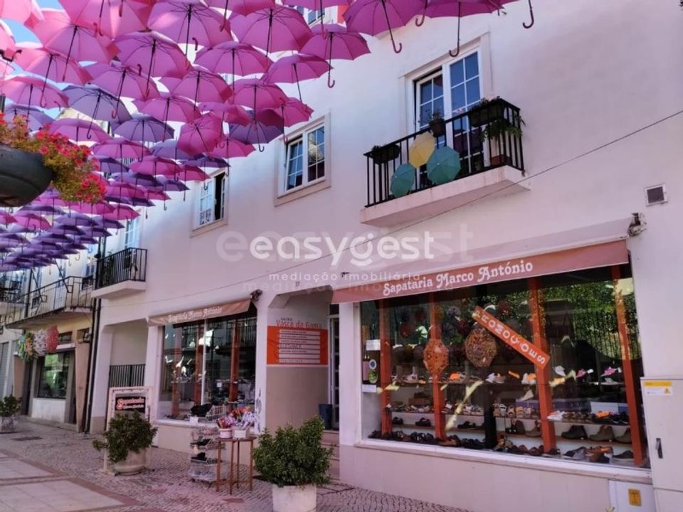 Erhvervsejendom i Agueda, Aveiro - foto 1