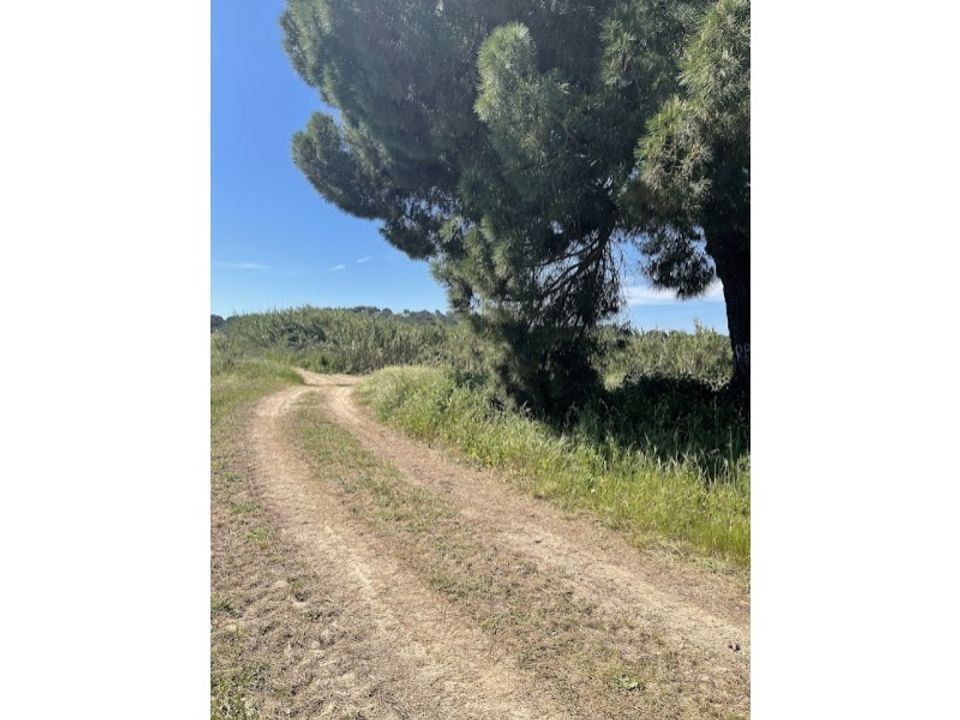 Farm hus i Couco, Santarem - foto 2