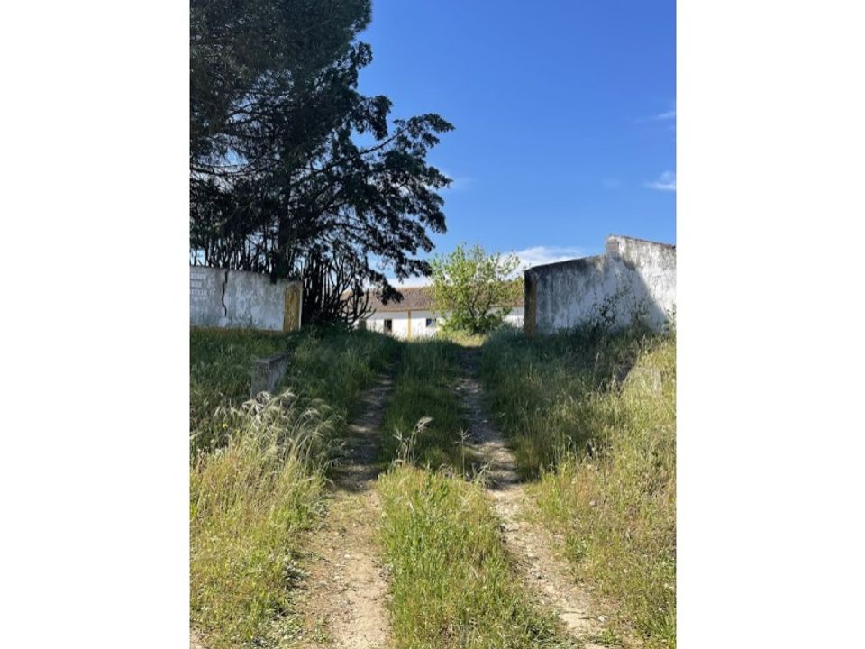 Farm hus i Couco, Santarem - foto 3