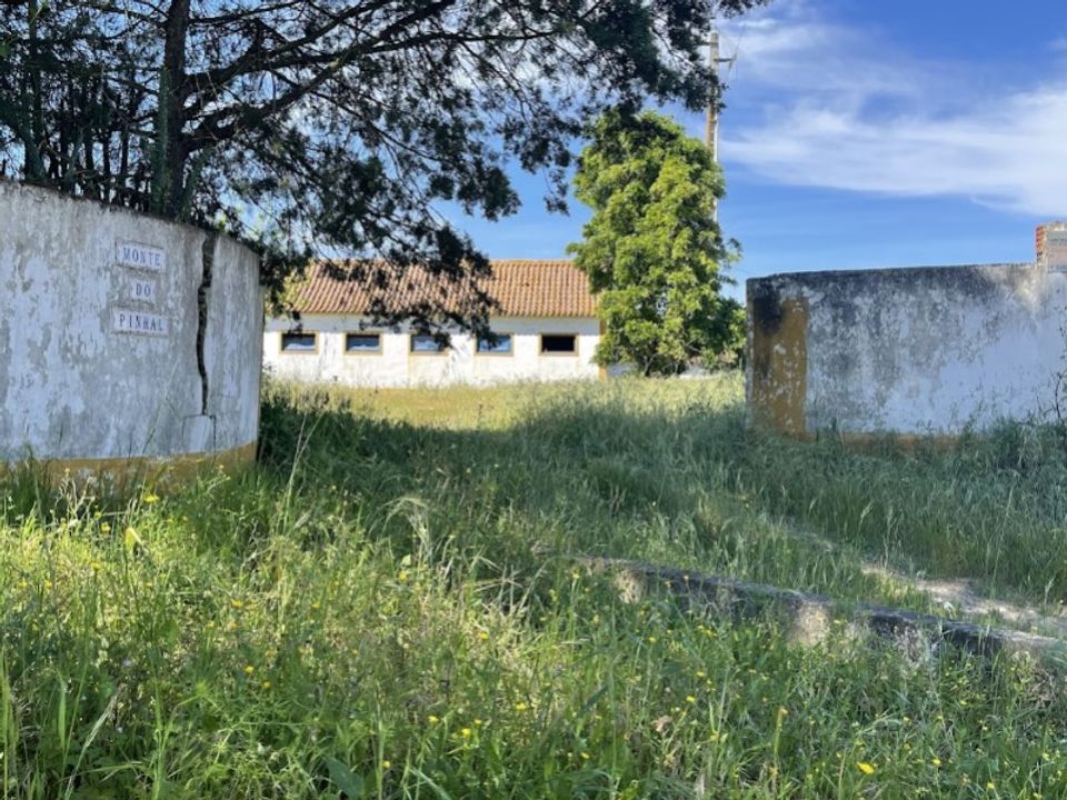 Farm hus i Couco, Santarem - foto 4