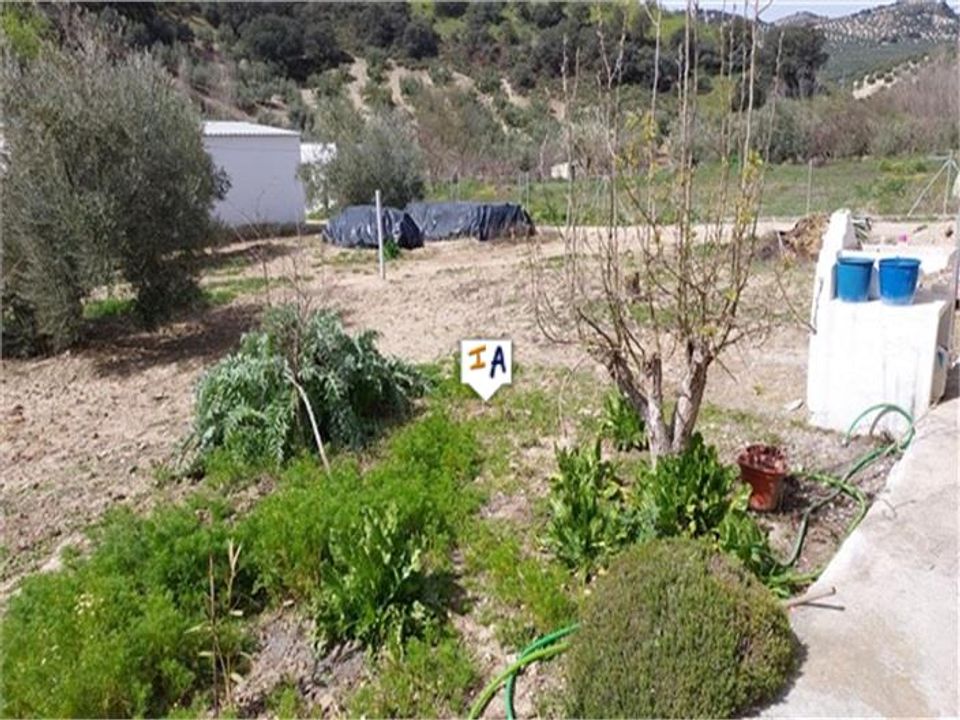 Cortijo i Algarinejo, Granada - foto 5