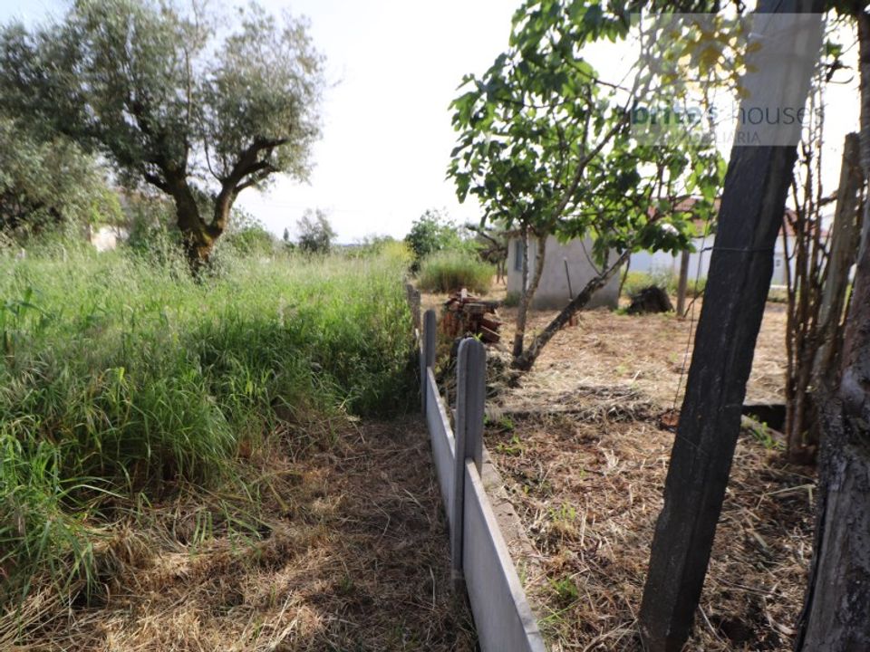 Helårsgrund i Tomar, Santarem - foto 3