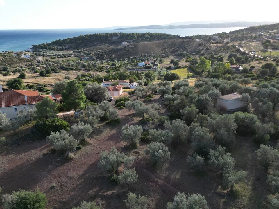 Helårsgrund i Pedrazas, Orense - foto 2