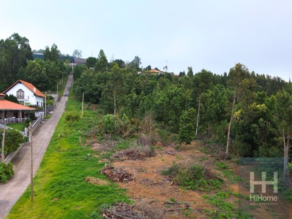 Helårsgrund i Santa Cruz, Madeira - foto 2