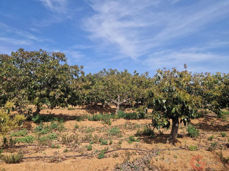 Finca i Salobrena, Granada - foto 3
