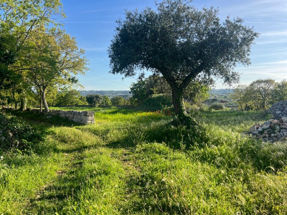 Herregård i Cisternino, Brindisi - bilde 5