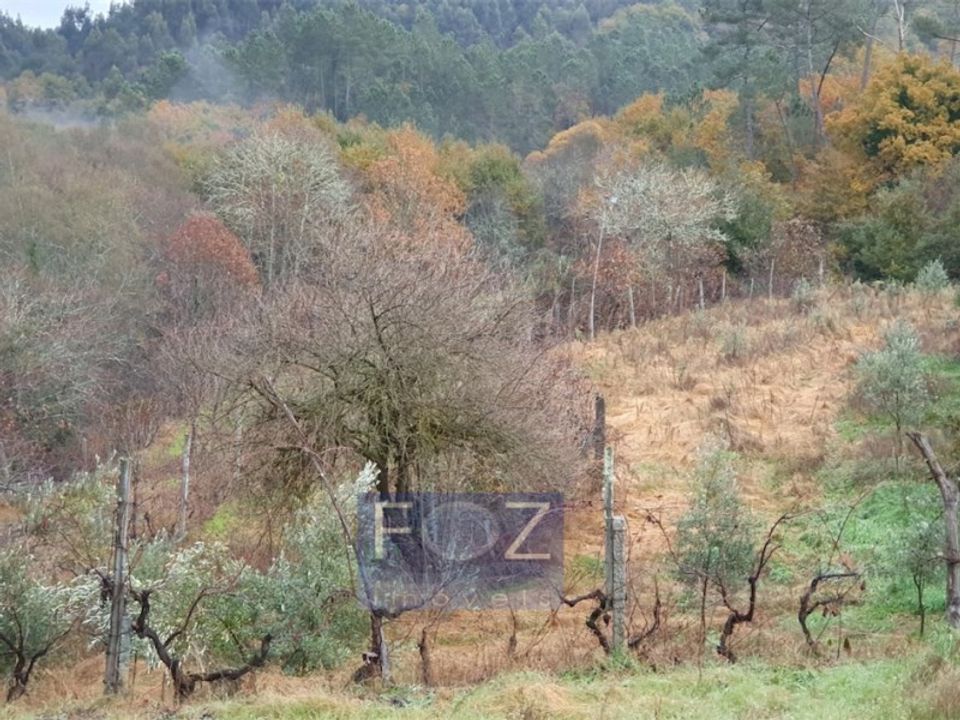 Gård i Vouzela, Viseu - bilde 5