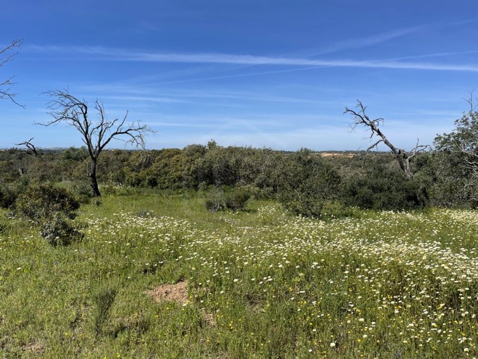 Helårsgrund i Paderne, Faro - foto 1