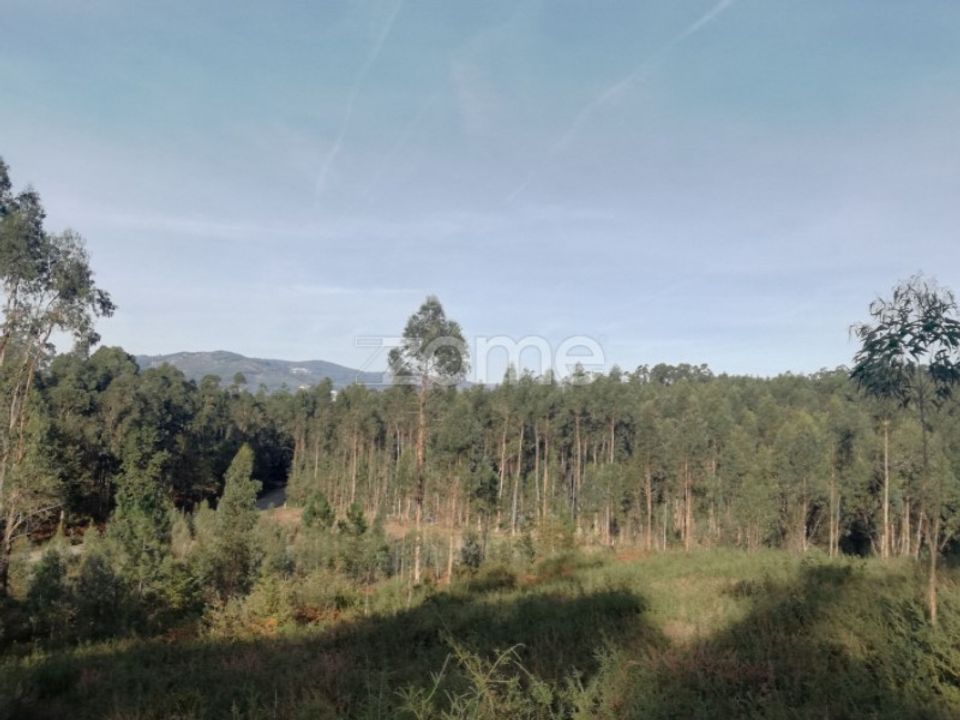 Helårsgrund i Vila Verde, Braga - foto 5