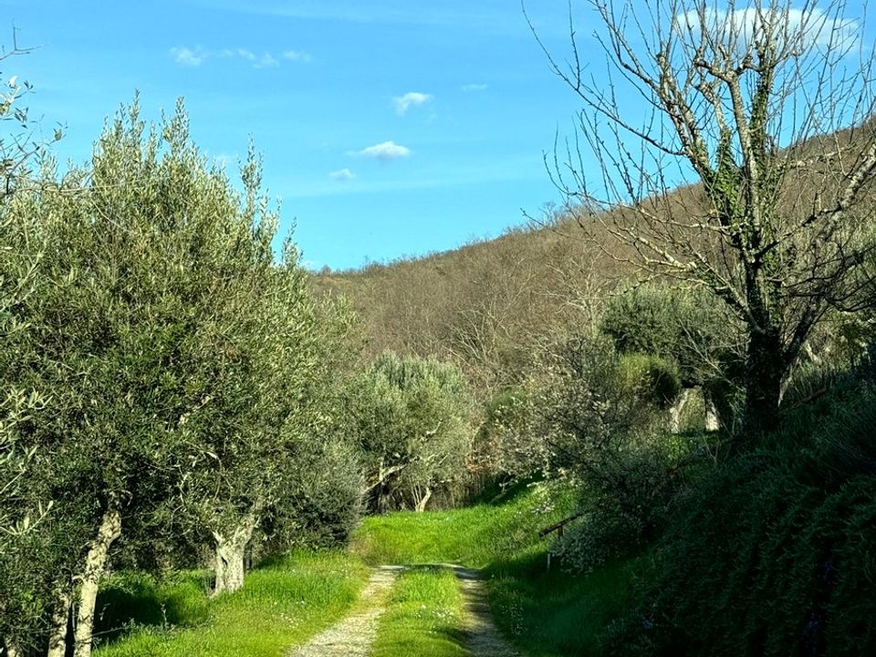 Villa i Cortona, Arezzo - foto 2