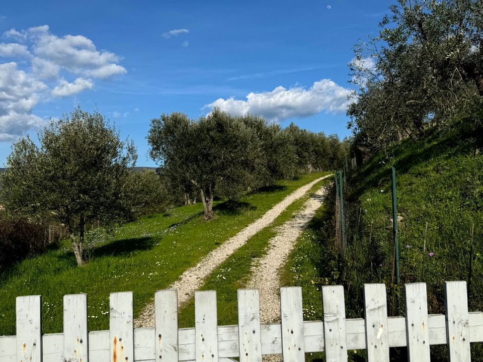Villa i Cortona, Arezzo - foto 3