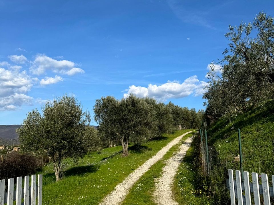 Villa i Cortona, Arezzo - foto 4