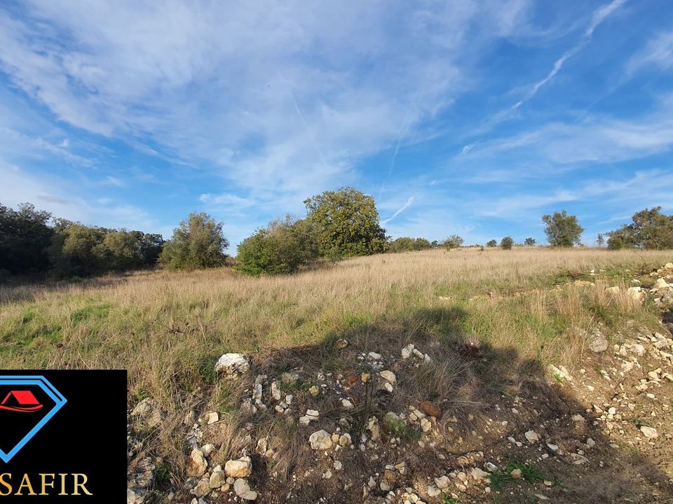 Helårsgrund i Torres Novas, Santarem - foto 1