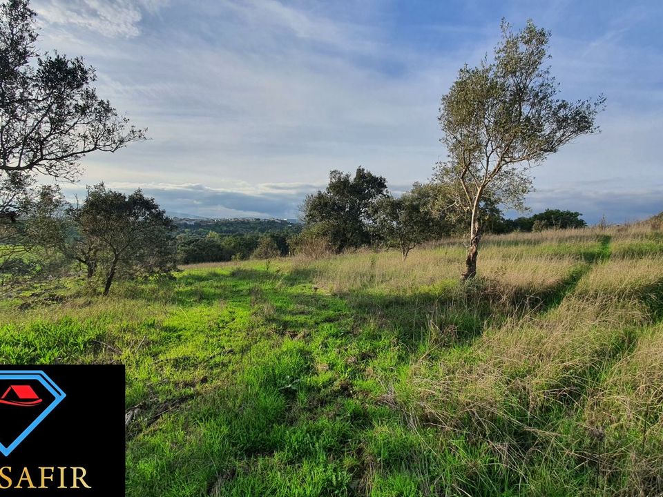 Helårsgrund i Torres Novas, Santarem - foto 3