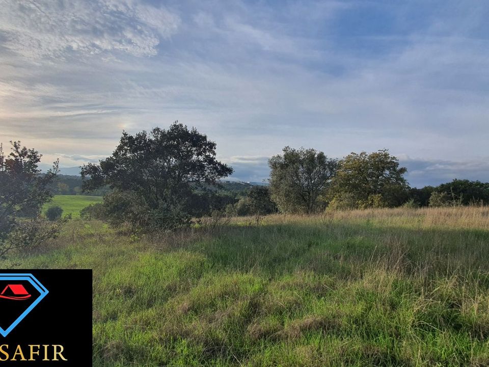 Helårsgrund i Torres Novas, Santarem - foto 4