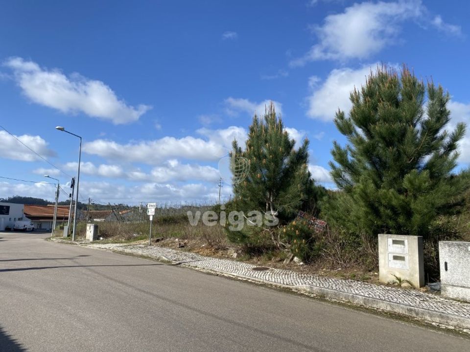 Helårsgrund i Alcobaca, Leiria - foto 5