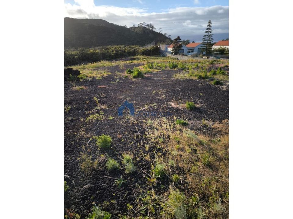 Helårsgrund i Criacao Velha, Pico - foto 3