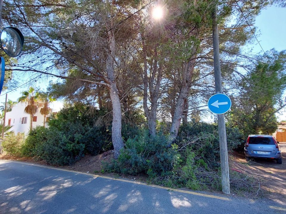 Helårsgrund i Santa Eulalia Del Rio, Ibiza - foto 3