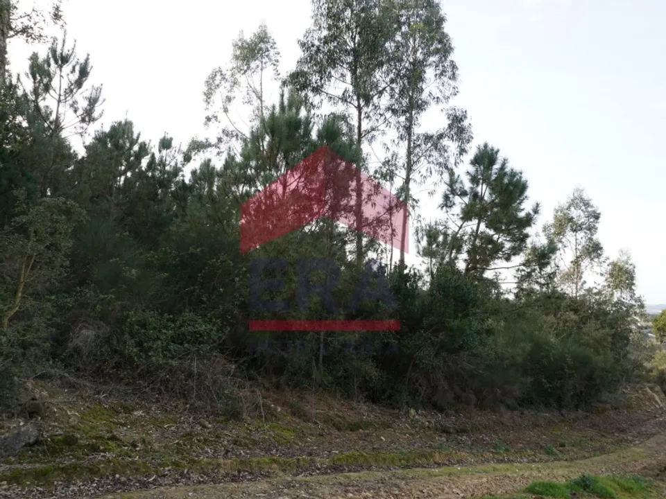 Helårsgrund i Bombarral, Leiria - foto 2