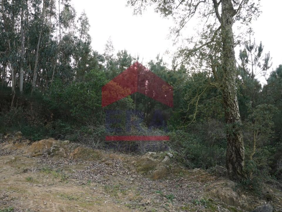 Helårsgrund i Bombarral, Leiria - foto 4