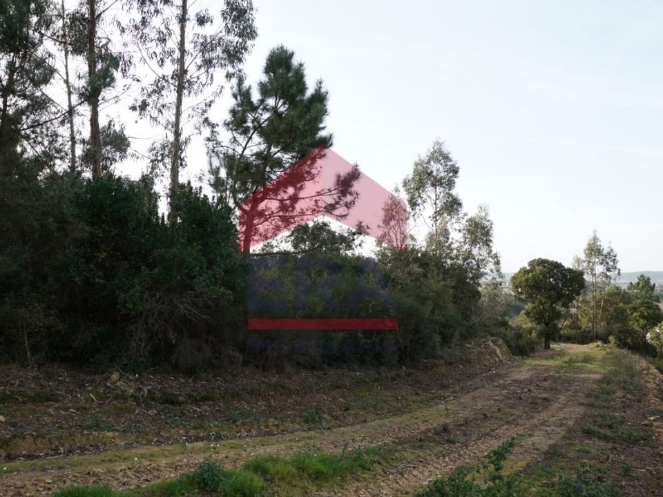 Helårsgrund i Bombarral, Leiria - foto 5