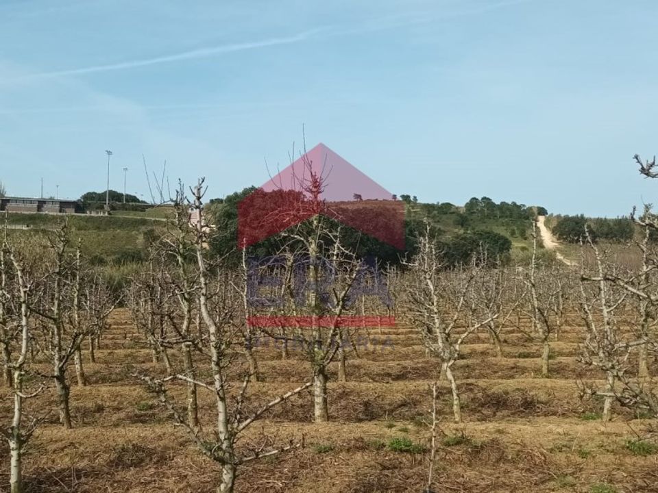Helårsgrund i Bombarral, Leiria - foto 2