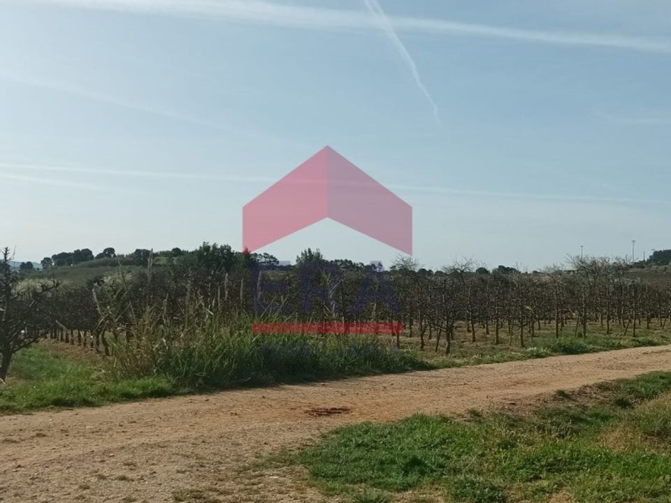 Helårsgrund i Bombarral, Leiria - foto 4