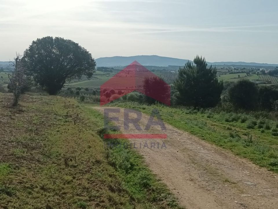 Helårsgrund i Bombarral, Leiria - foto 5