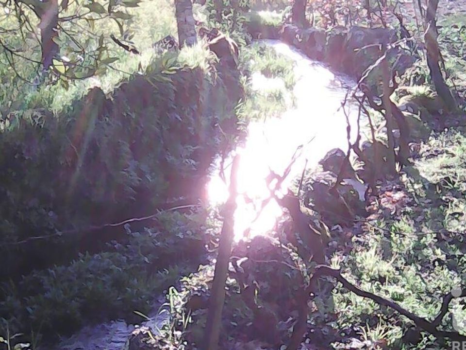 Helårsgrund i Gouveia, Guarda - foto 2