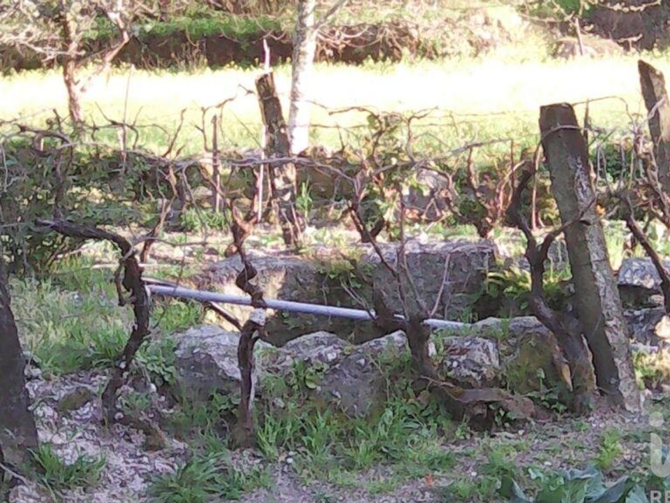 Helårsgrund i Gouveia, Guarda - foto 4