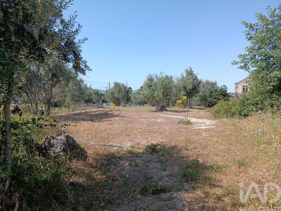 Helårsgrund i Gouveia, Guarda - foto 5