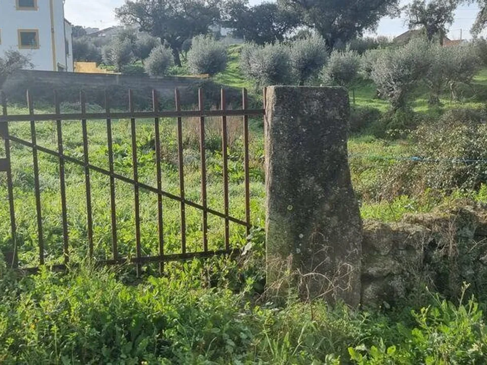Helårsgrund i Nisa, Portalegre - foto 1