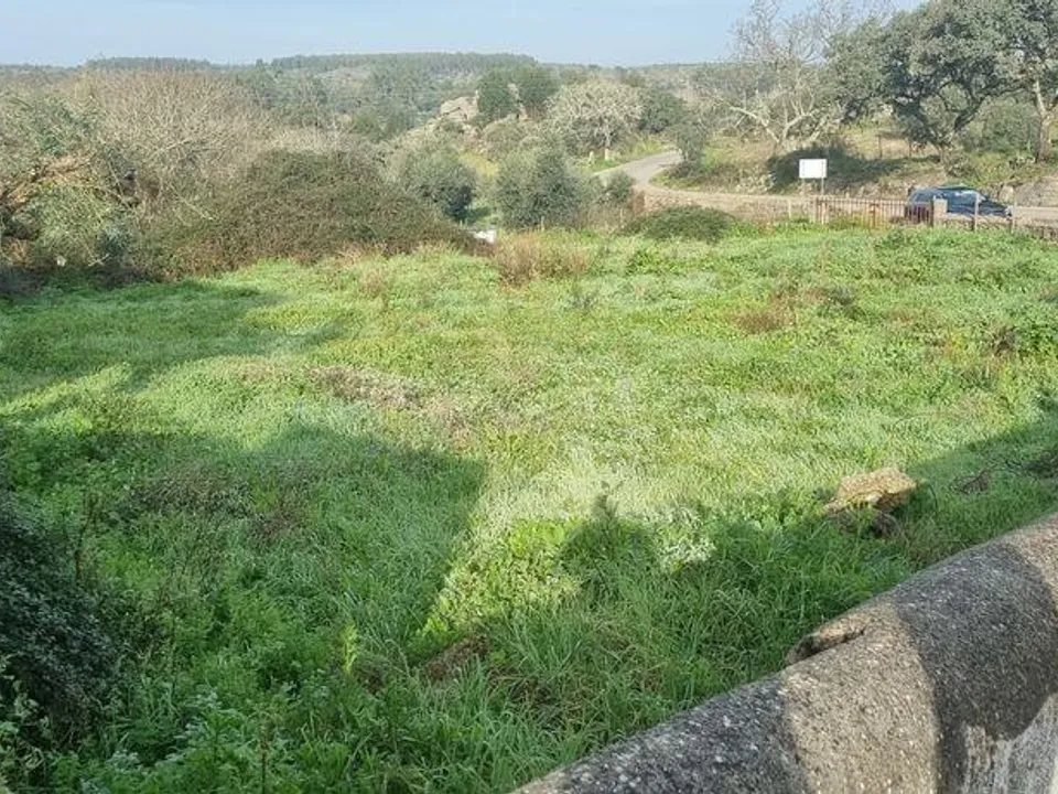 Helårsgrund i Nisa, Portalegre - foto 2
