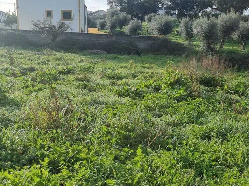 Helårsgrund i Nisa, Portalegre - foto 3