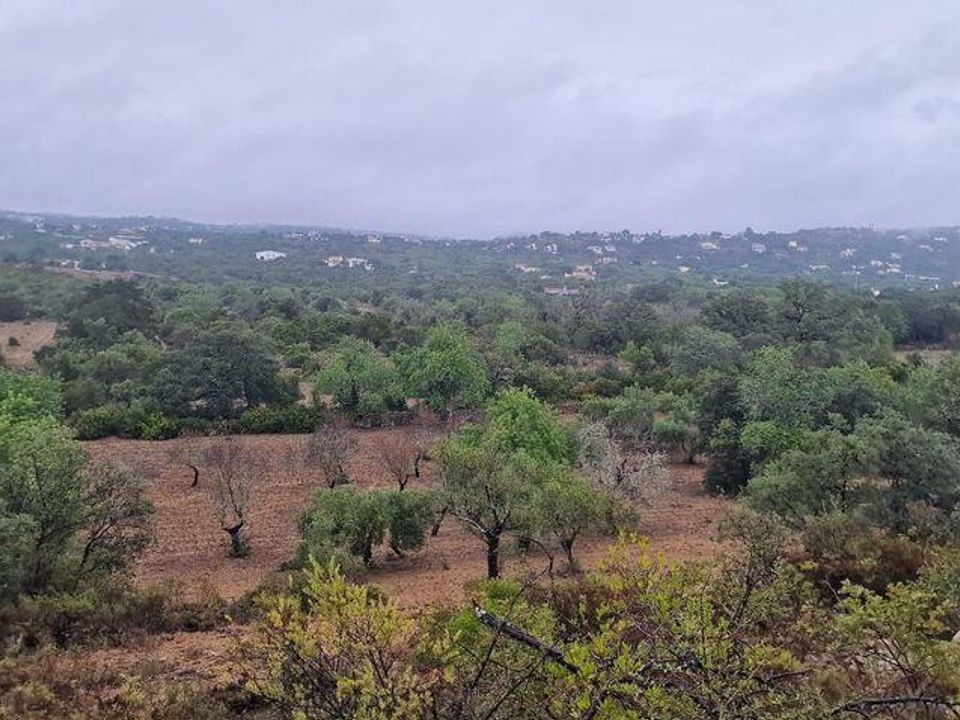 Helårsgrund i Sao Bras de Alportel, Faro - foto 2