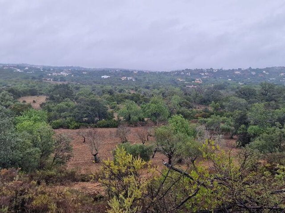 Helårsgrund i Sao Bras de Alportel, Faro - foto 4
