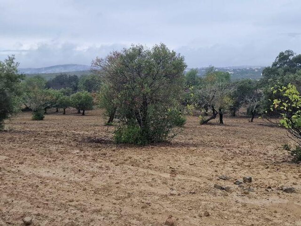 Helårsgrund i Sao Bras de Alportel, Faro - foto 5