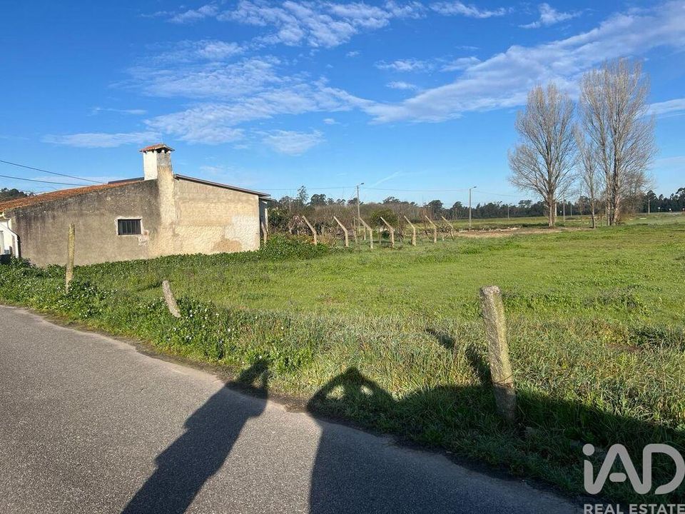 Terra a Estarreja, Aveiro - foto 2