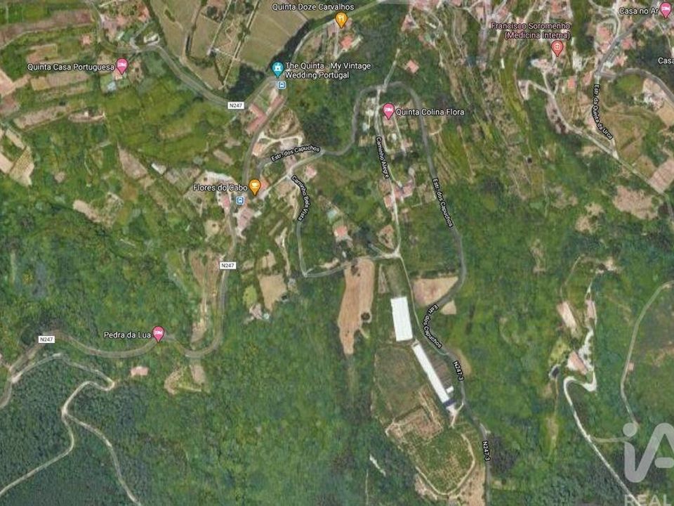 Terra a Sintra, Lisbon - foto 5